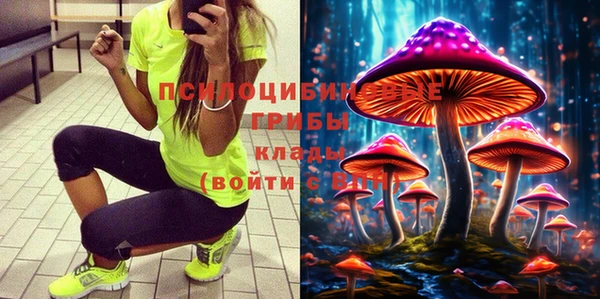 Альфа ПВП Богородицк