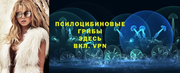 Альфа ПВП Богородицк